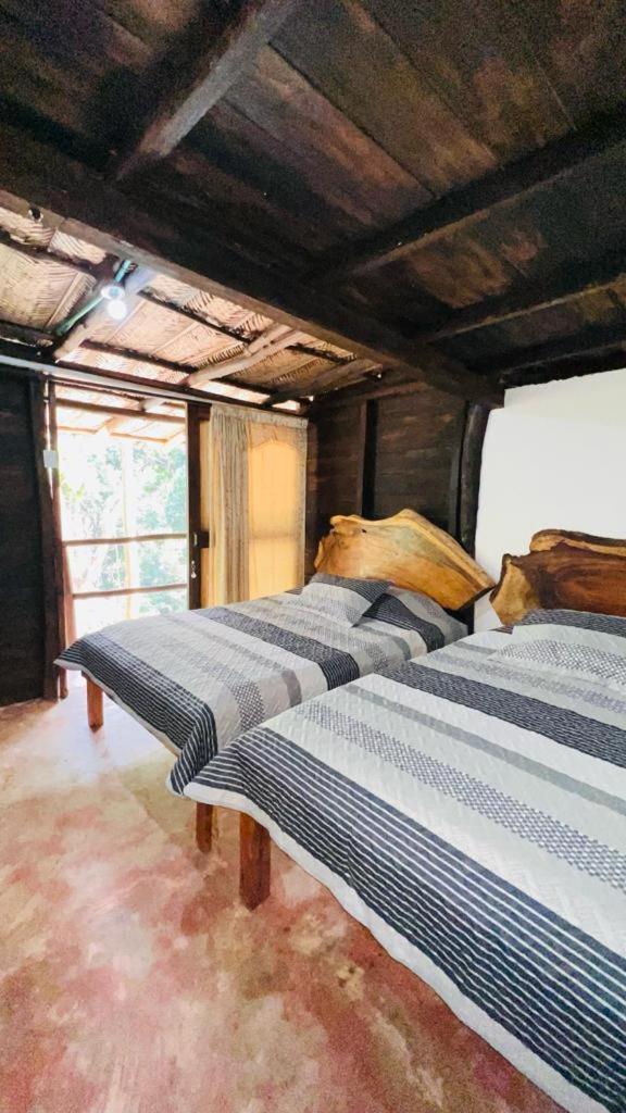 Minca Cabana La Roca Σάντα Μάρτα Εξωτερικό φωτογραφία